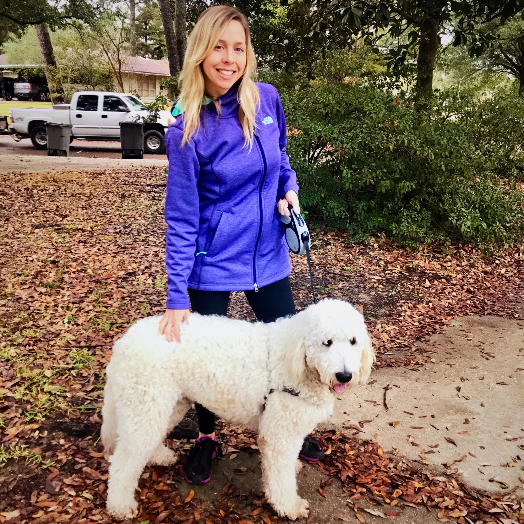 Caretaker walking a white standard poodle